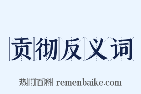 贡彻反义词是什么意思的图片